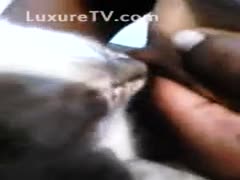 A strange film about a non-professional housewife attempting to feed a kitten